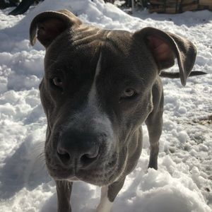 Meet your Posher, Justin